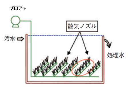 曝気槽